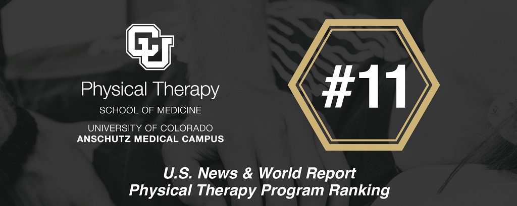 Res1024 Physical Therapy Number 11 Graphic