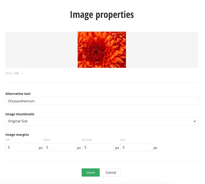 Sitefinity 14.4 image properties