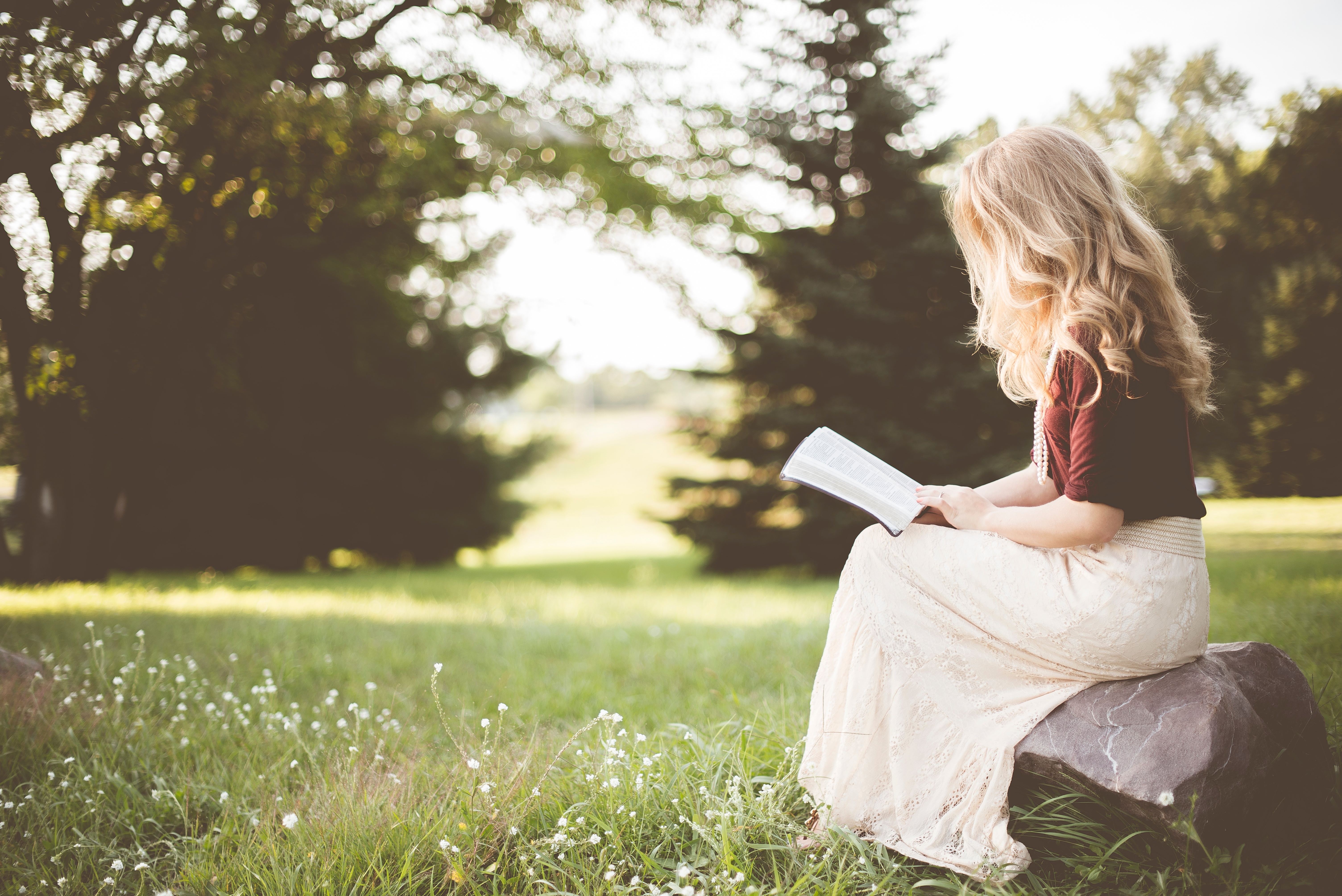 Woman reading in a meadow