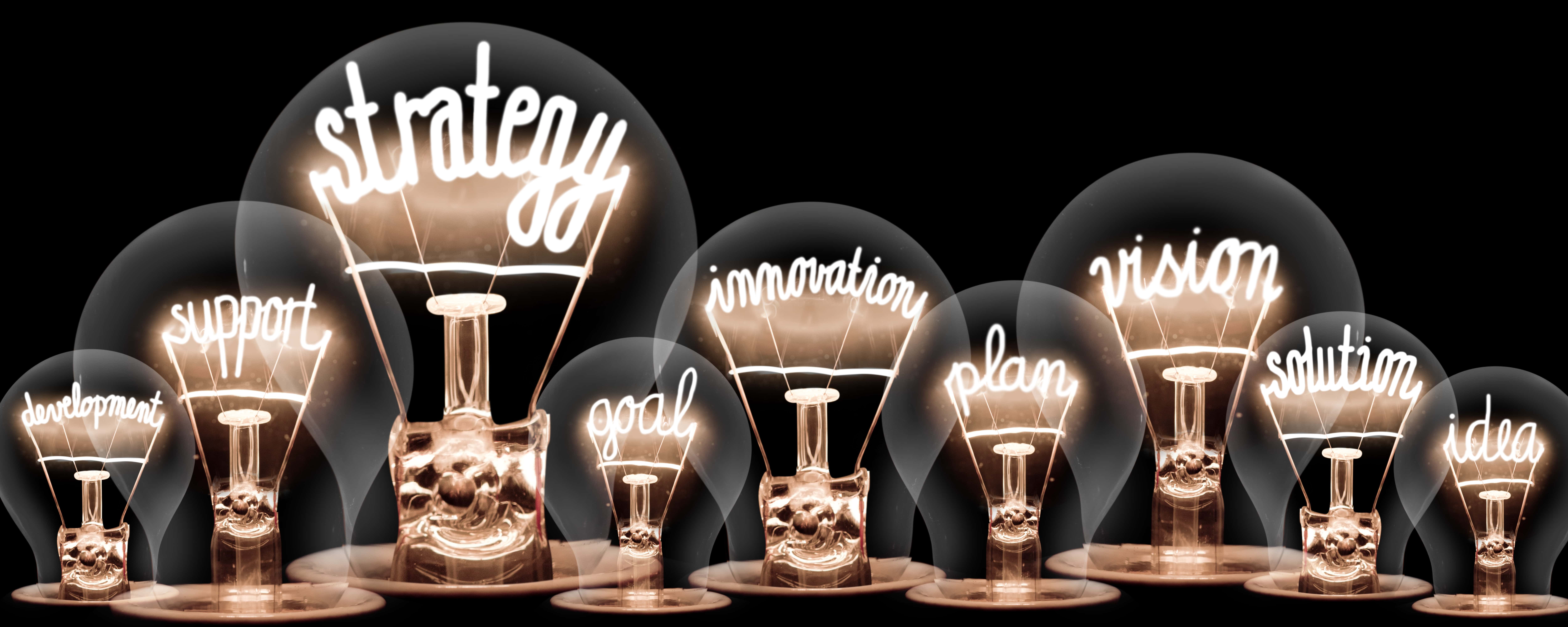 Lightbulbs showing the words development, support, strategy and other inspiring words