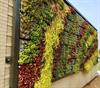 FtCollinsGreenWall-(1)
