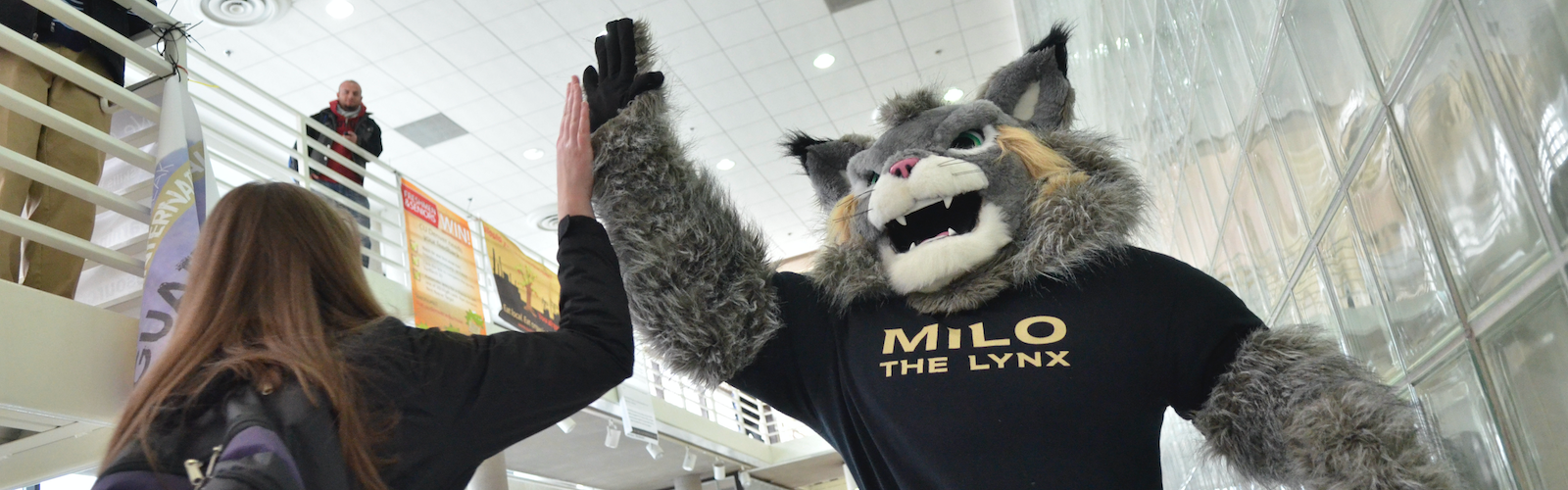 CU Denver's mascot Milo the Lynx 