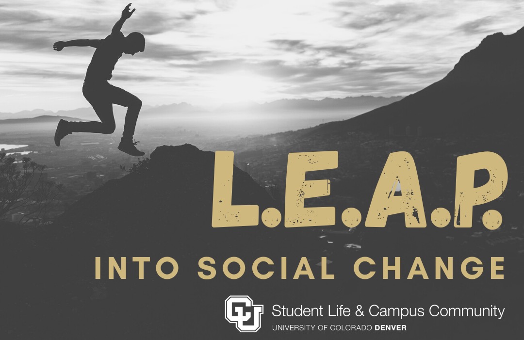 leap program leap program