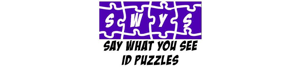 Say What You See ID Puzzles
