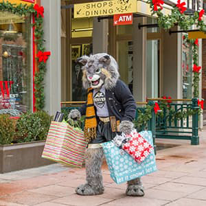 Milo the Lynx Shopping