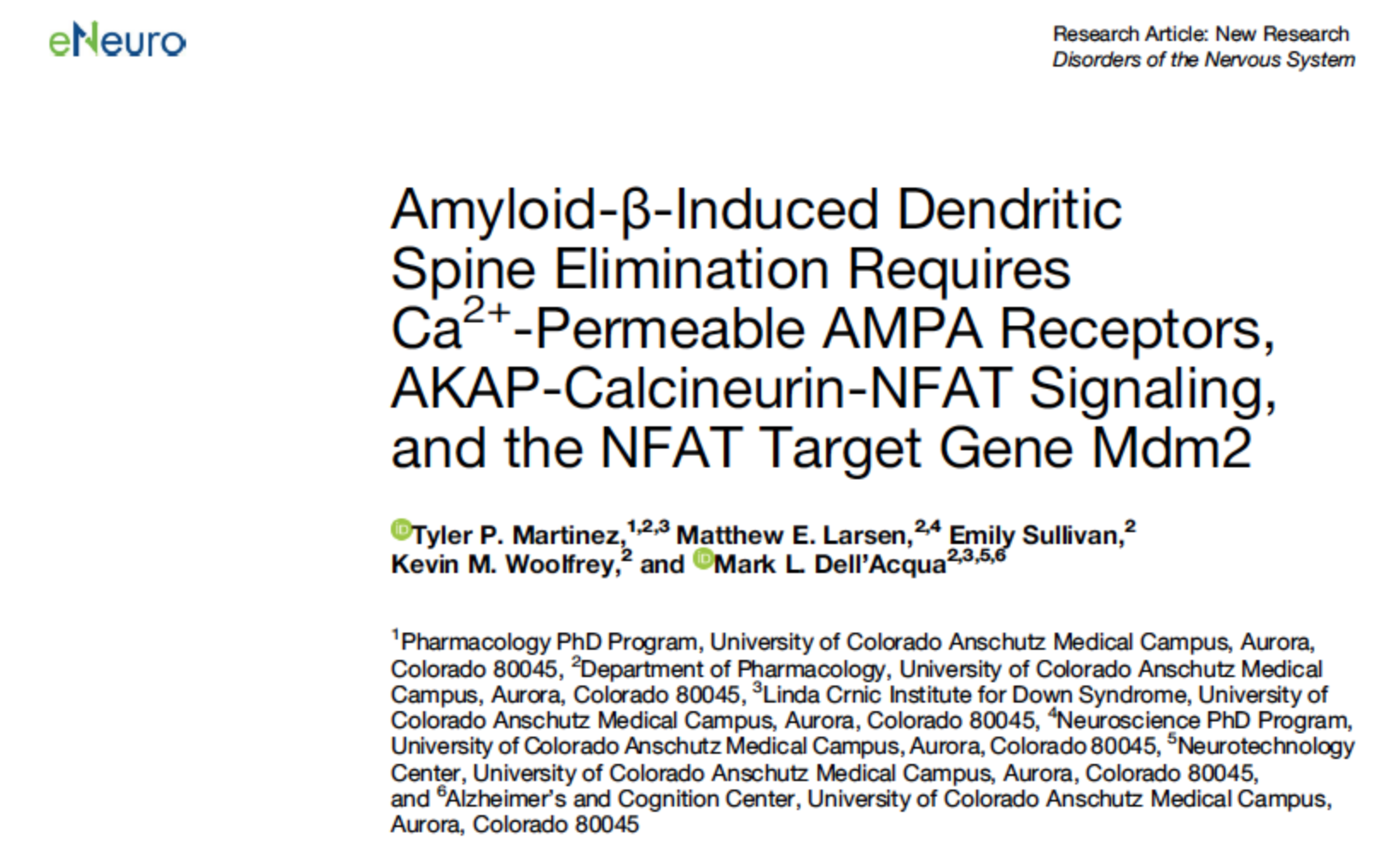 Amyloid-β-Induced Dendritic Spine Elimination Requires Ca2+-Permeable AMPA Receptors, AKAP-Calcineurin-NFAT Signaling, and the NFAT Target Gene Mdm2