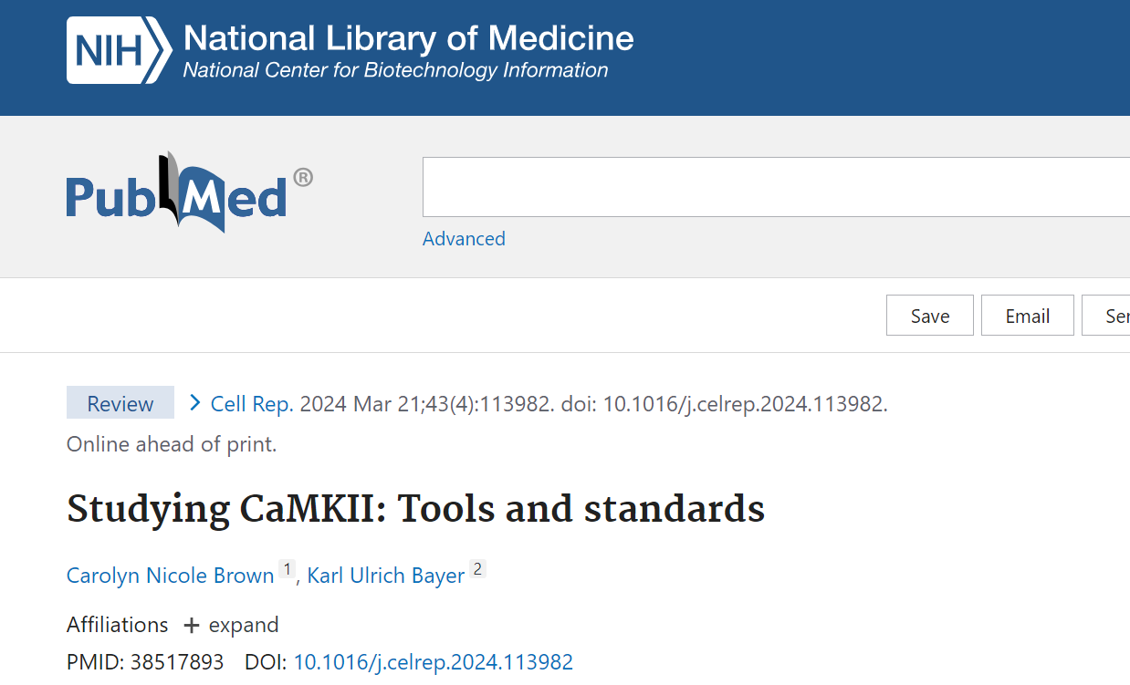 Studying CaMKII: Tools and standards