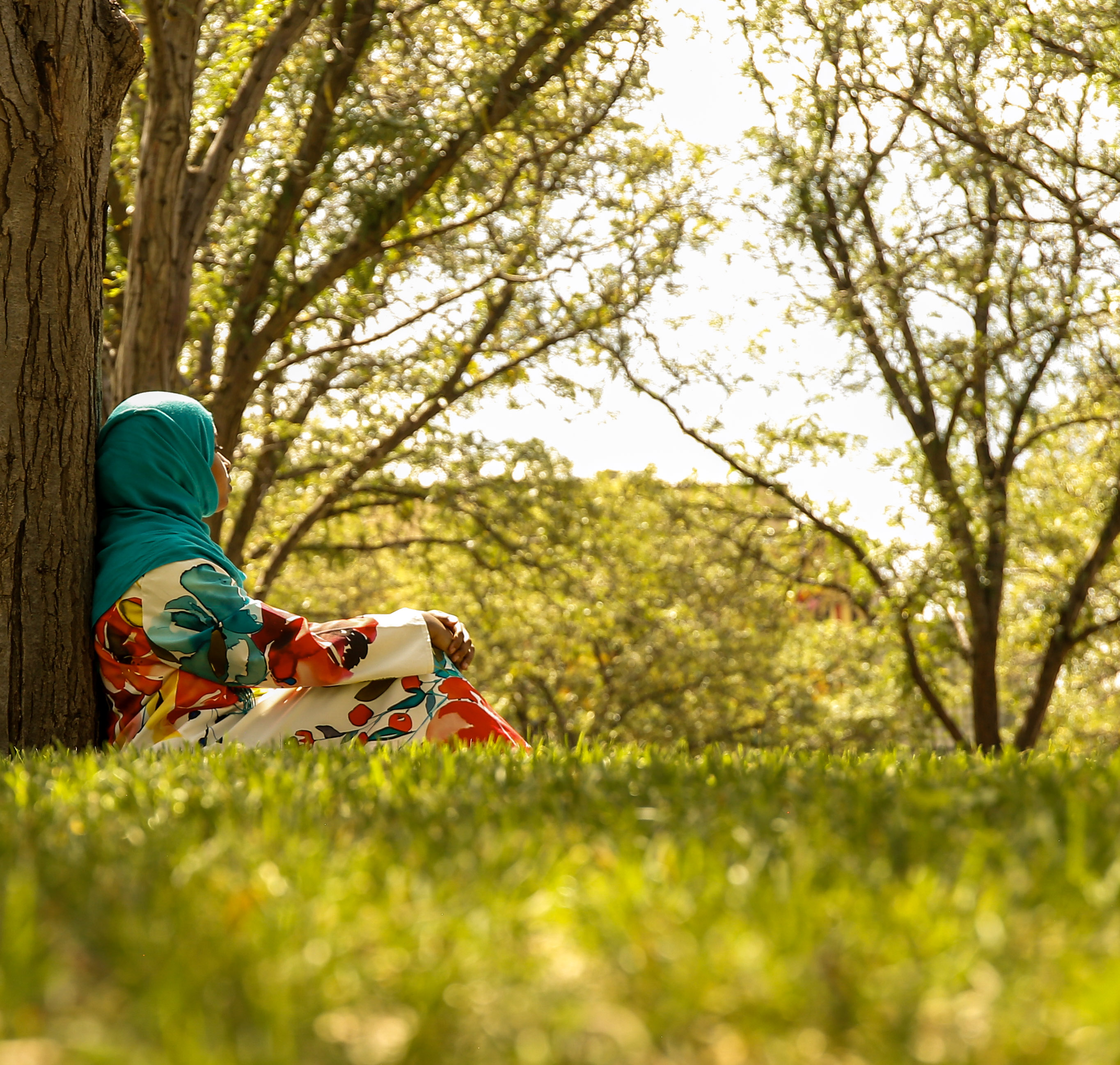 A woman in a turquoise Hijab and colorful clothing sits peacefully beneath a tree in a sunny grassy area in front of the North Classroom Building.