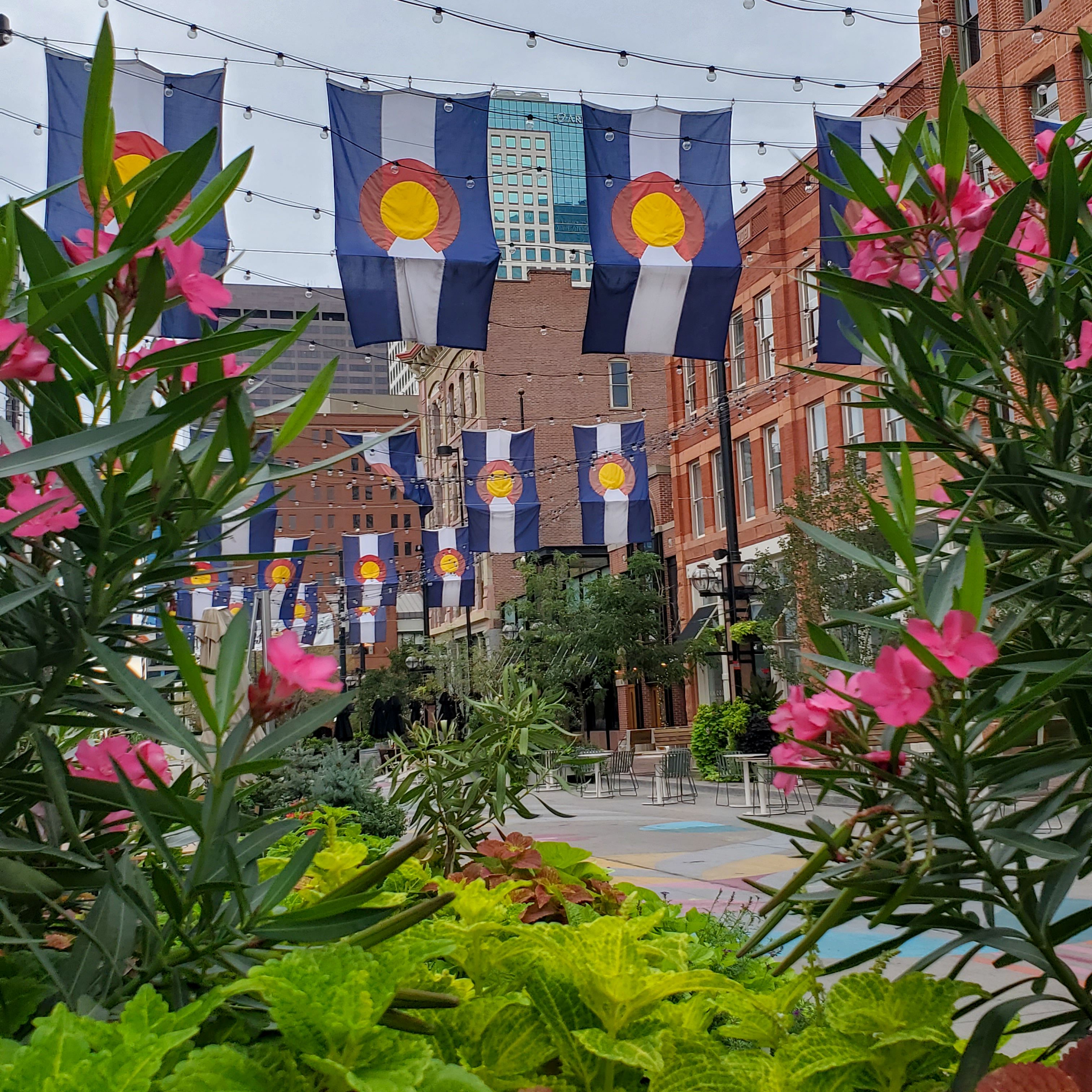 Daytime view of Larimer Square in downtown Denver, with colorful flowers and greenery framing a pedestrian street decorated with Colorado flags and string lights