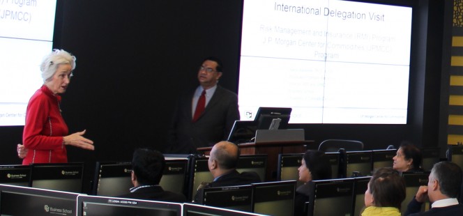 Delegation giving a presentation