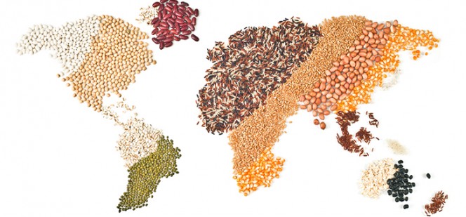 world map made of cereal grains