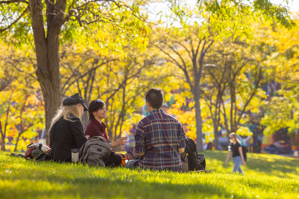 Students sitting under trees on campus