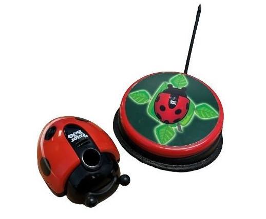 little ladybug with a marker-shaped hole and a corresponding remote, which is also ladybug-themed