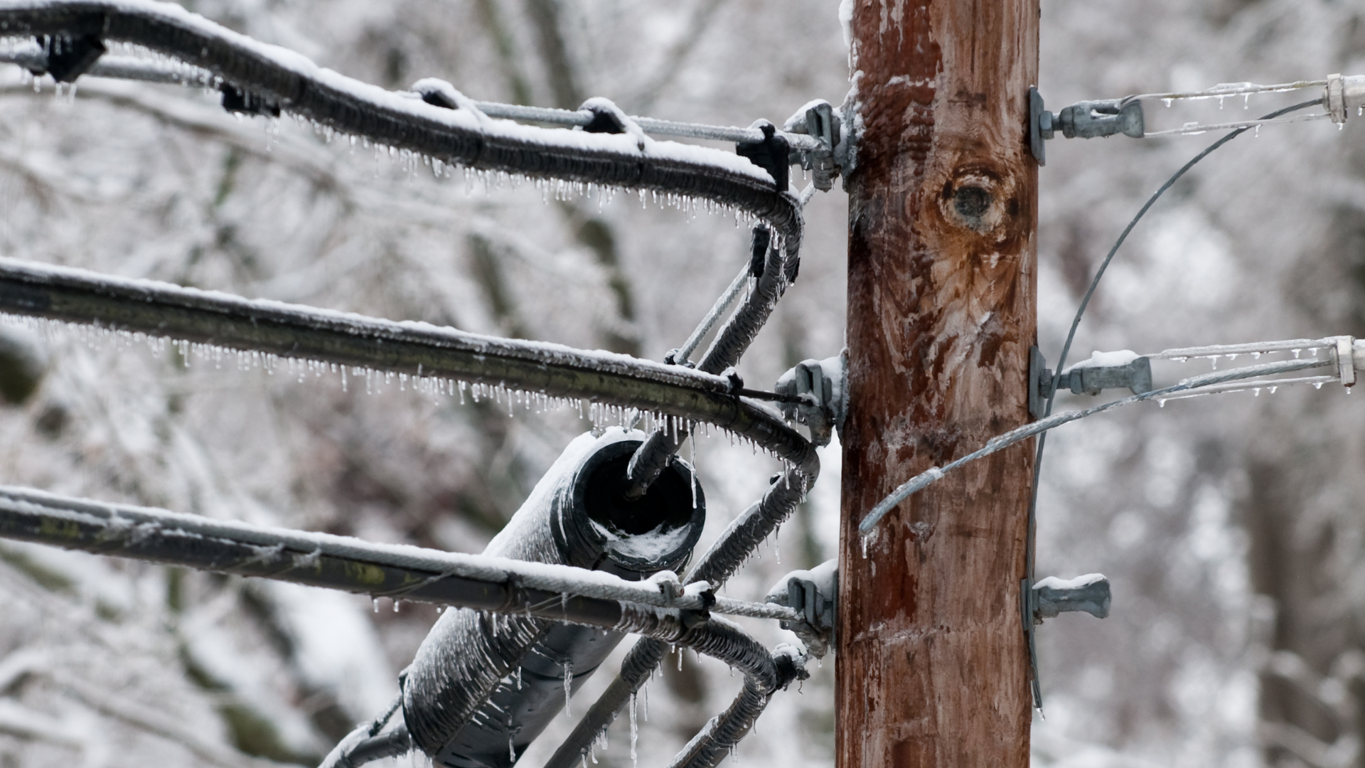 : Ice-coated power lines on a wooden utility pole, with icicles hanging from the wires and snowy trees behind