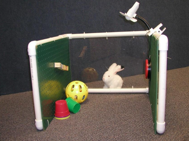 little cubicle made out of pvc with toys inside