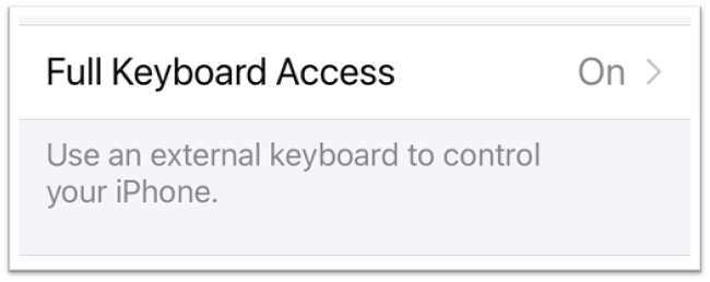 keyboard access settings