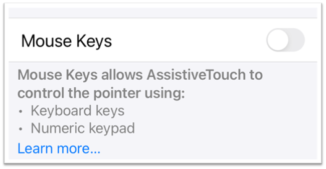 mouse keys setting