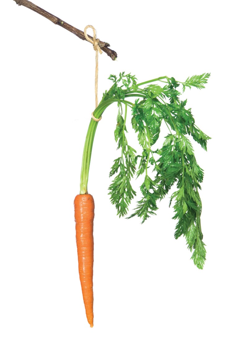 carrot stick