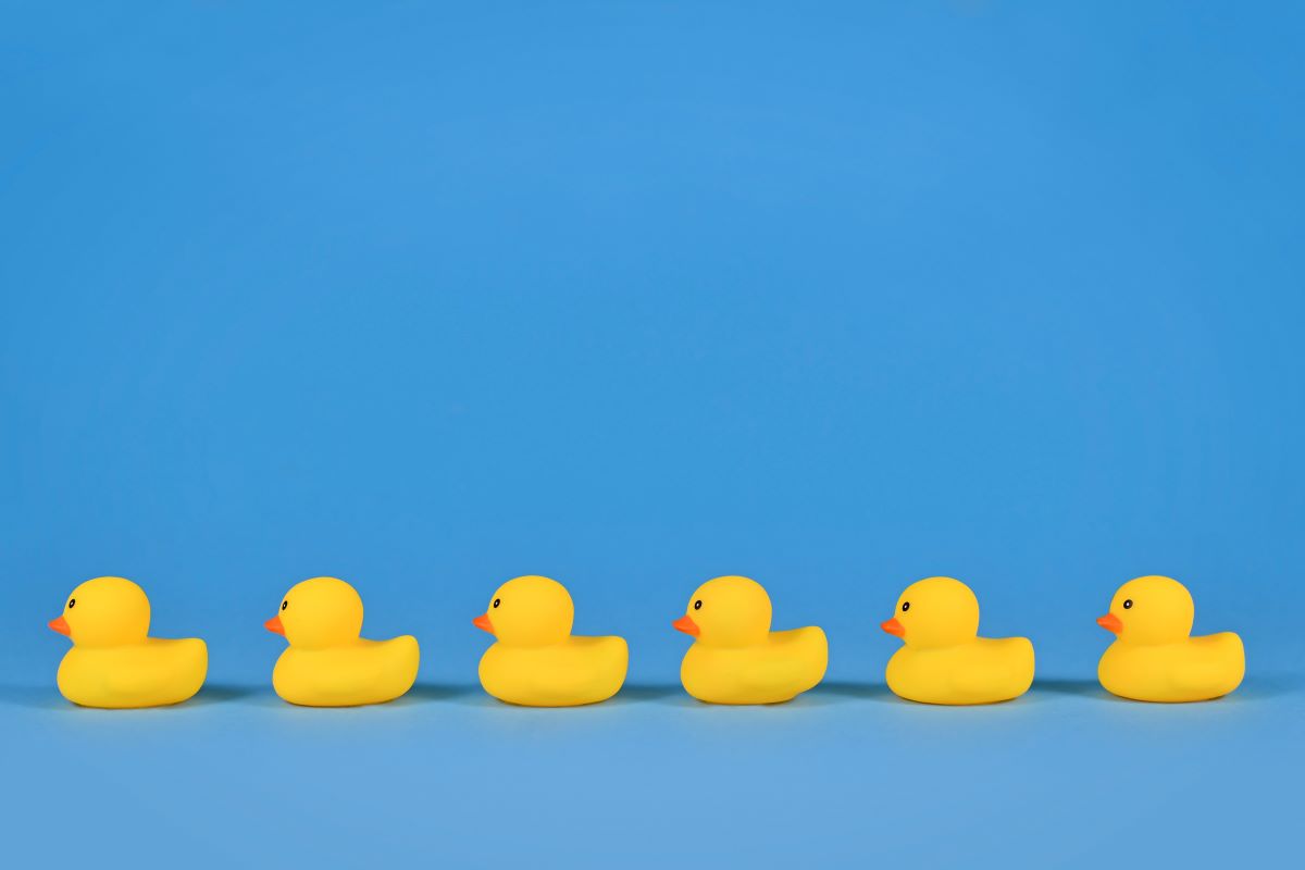 blue background with 6 yellow rubber ducks in a neat row